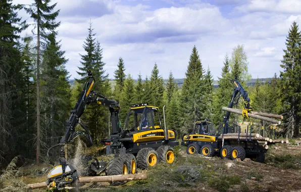 Forest, clouds, trees, sawdust, wheel, logs, the edge of the forest, loading