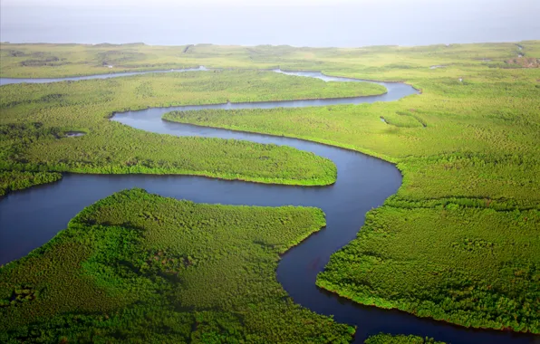 Picture greens, nature, river, thickets, the view from the top, Delta, from the height of bird …