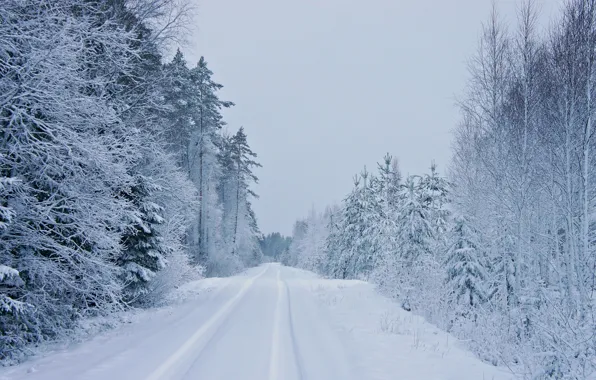 Picture winter, road, forest, snow, ate