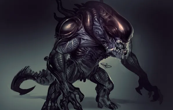 Stranger, alien, alien, xenomorph