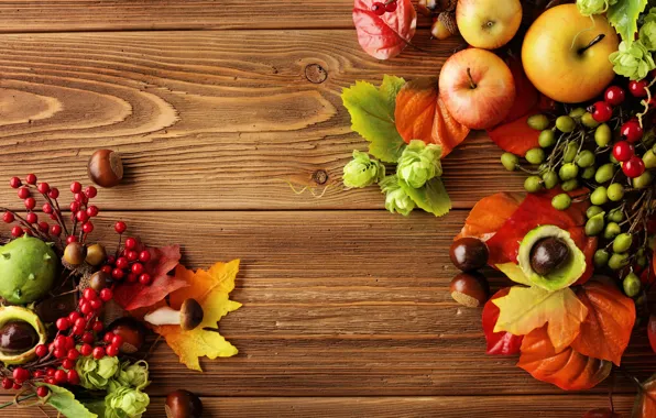 Autumn, leaves, apples, still life, autumn, leaves, fruit, still life