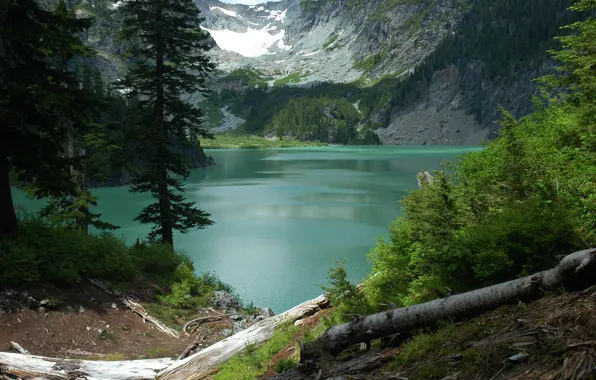 Picture snow, trees, nature, river, rocks, USA, the fjord