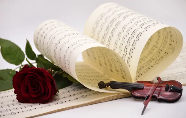 Flower, notes, music, violin, toy, rose, red, page
