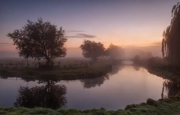 Picture trees, landscape, bridge, fog, surface, river, morning, oragene