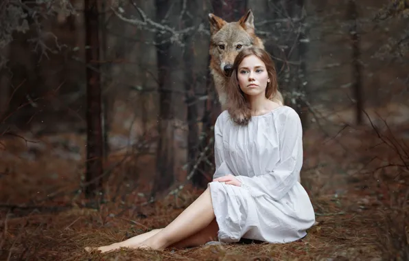 Forest, girl, wolf, Svetlana Nicotine, Alena Zvereva