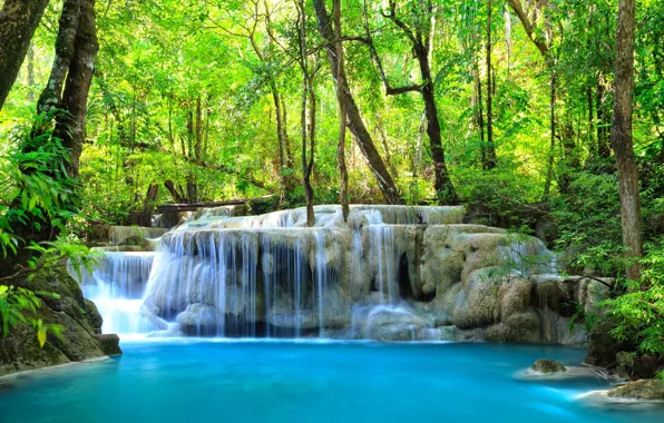 Forest, nature, river, waterfall, Thailand