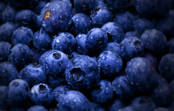 Picture berries, blueberries, bilberries