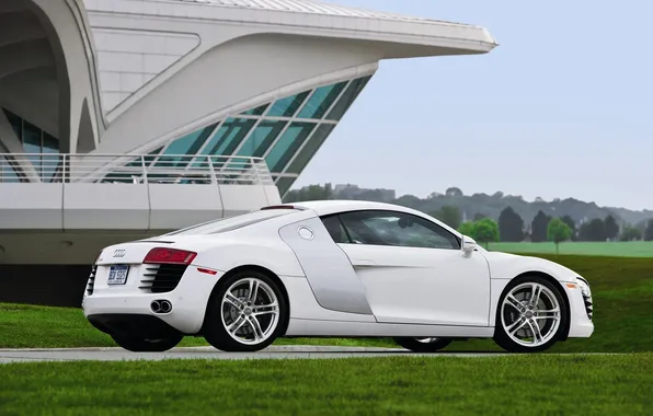 White, grass, Audi, cars, white, auto wallpapers, car Wallpaper, photo machines