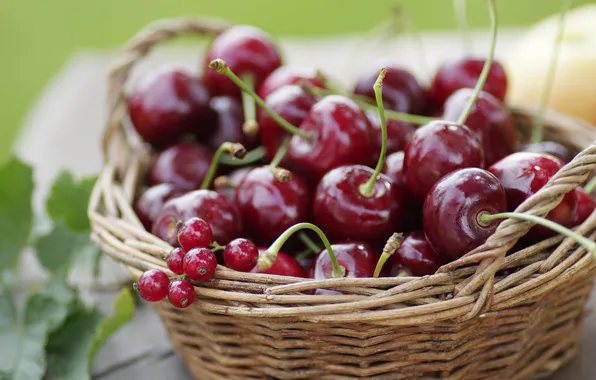Summer, macro, cherry, berries, basket, fruit, currants, cherry