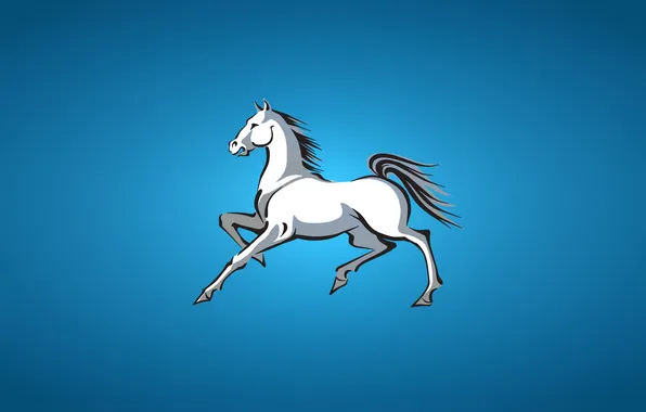 Picture horse, white, blue background, horse