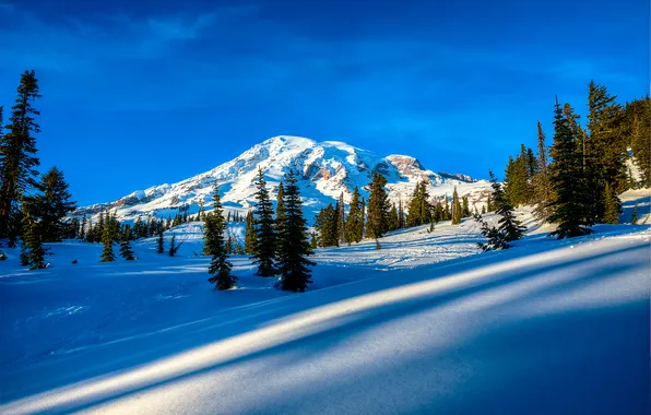 Winter, the sky, clouds, snow, trees, mountains, spruce, slope