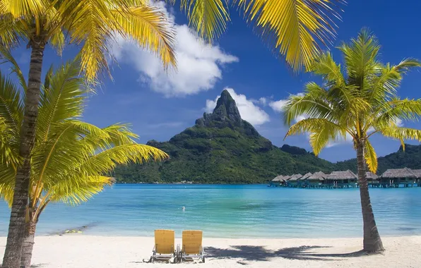 Beach, palm trees, mountain