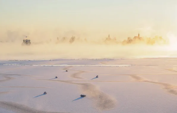 Winter, birds, fog, river, morning