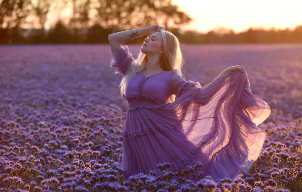 Field, chest, the sky, girl, light, flowers, pose, morning