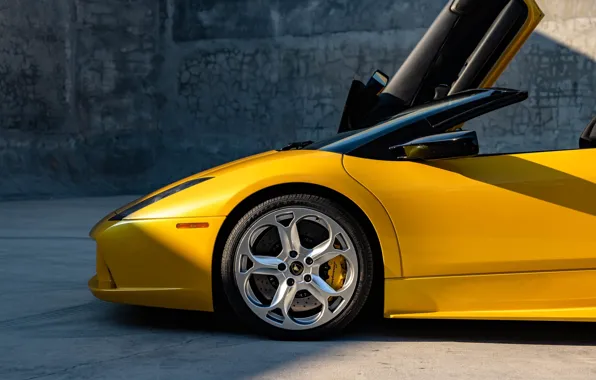 Close-up, Lamborghini, wheel, Murcielago, the front, Lamborghini, Lamborghini Murcielago Roadster