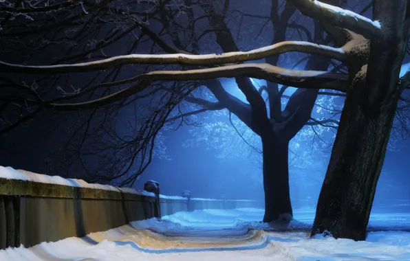 Picture winter, light, snow, trees, night, nature, Park, wall
