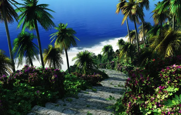 Sea, greens, flowers, tropics, palm trees, ladder, steps