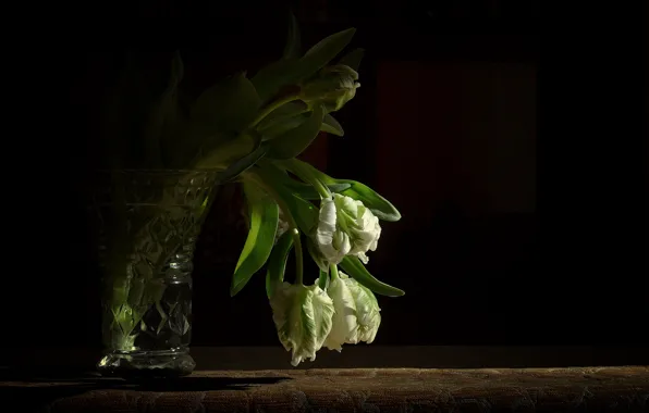 Background, black, bouquet, tulips, vase, white