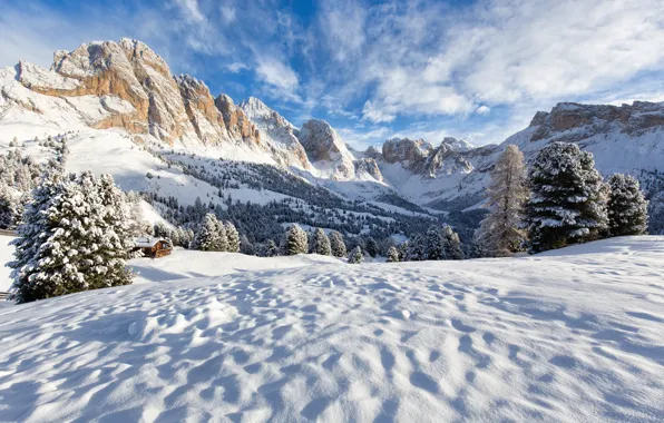 Winter, snow, trees, landscape, mountains, tree, landscape, nature