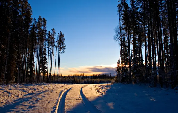 Winter, road, forest, snow, trees, tree, dawn, landscapes