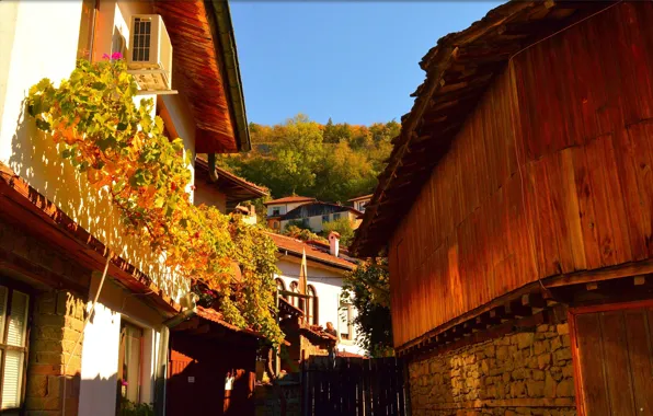 Home, Autumn, Village, wicket, Autumn, Village, Houses