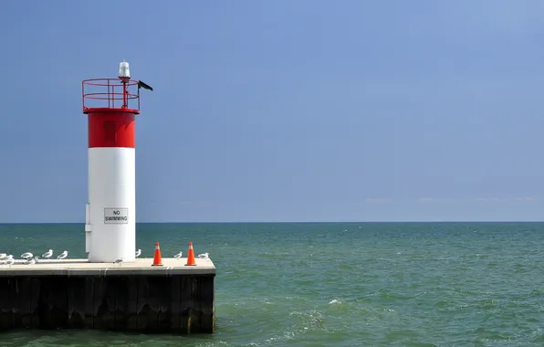 Sea, landscape, bird, lighthouse