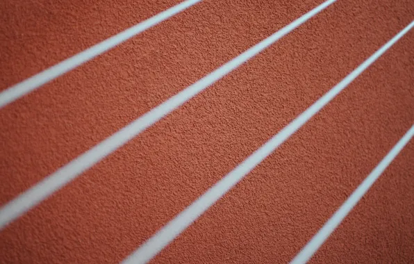 Color, texture, form