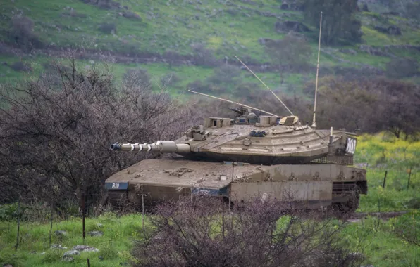 Picture tank, combat, Merkava, Israel, "Merkava"