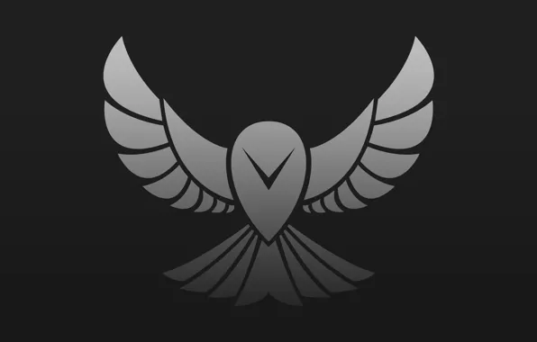 Owl, bird, vector, logo, art