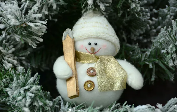 Winter, frost, snow, branches, smile, holiday, hat, toy