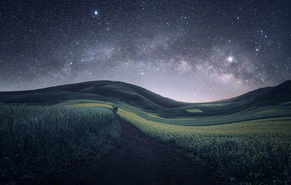 Road, field, summer, space, stars, flowers, mountains, night