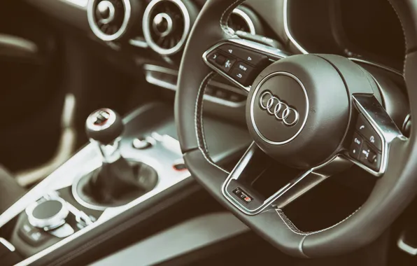 Audi, the wheel, salon, Interior, TTS