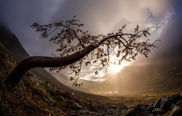 Autumn, the sky, leaves, the sun, clouds, light, trees, mountains