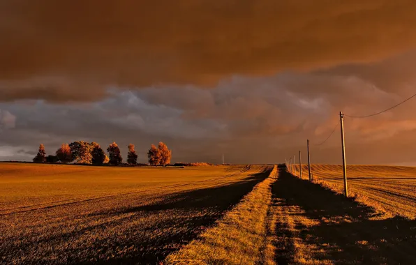 Road, field, autumn, the sky, clouds, light, trees, clouds