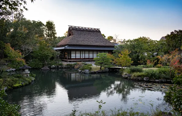 Picture nature, pond, home, Japan, garden