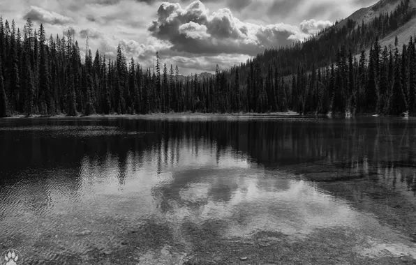 Clouds, trees, mountains, nature, lake, rocks, black and white, monochrome
