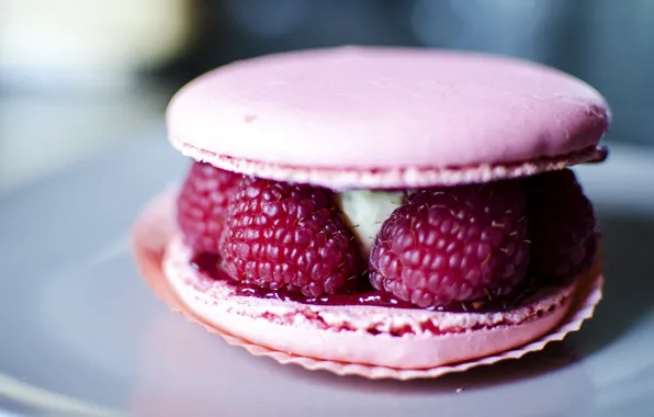 Berries, raspberry, cake, dessert, sweet