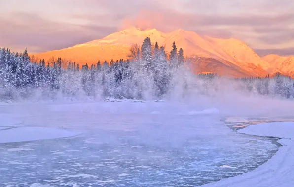 Winter, snow, trees, mountains, Canada, British Columbia, the Bulkley river, Telkwa