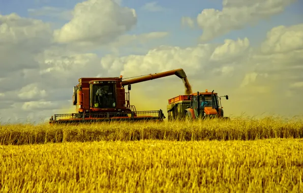 Picture wheat, field, landscape, machine, hay, grass, autumn, fields