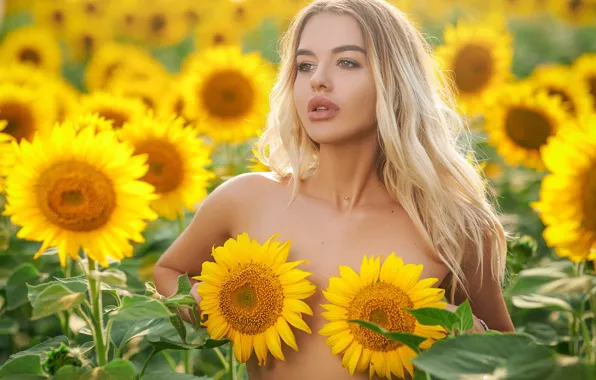 Field, girl, sunflowers, blonde, Sergey Gokk