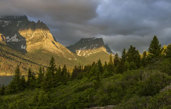 Picture forest, mountains, clouds, USA, Glacier National Park, Montana