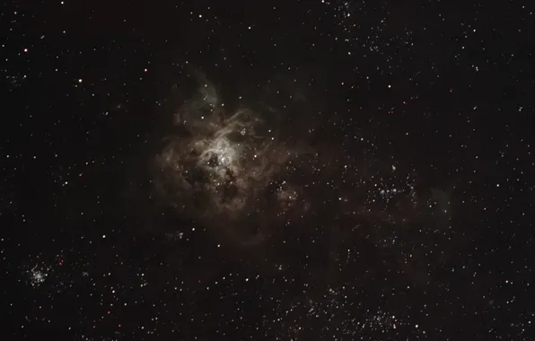 Nebula, Gold Fish, Tarantula, in the constellation, emission