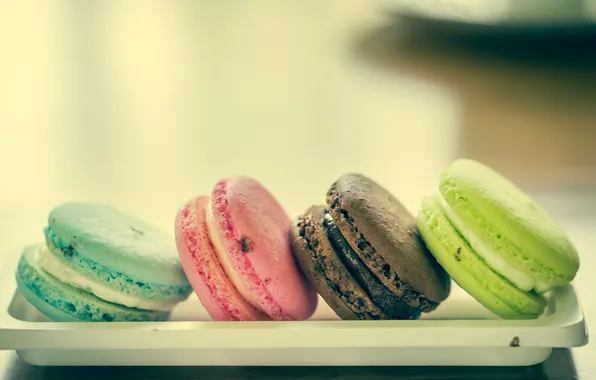 The sweetness, plate, cakes, macaroons