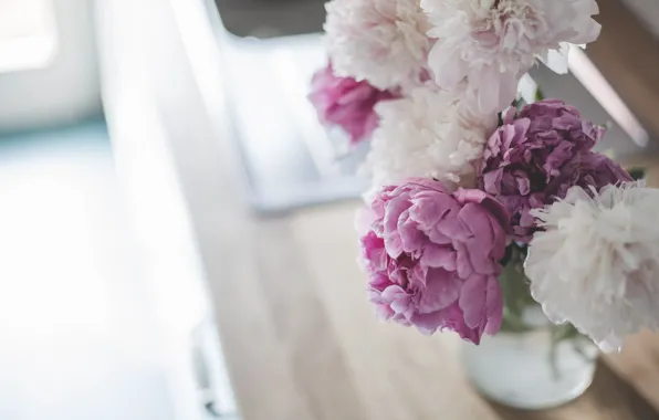 Bouquet, bokeh, peonies, Peonie