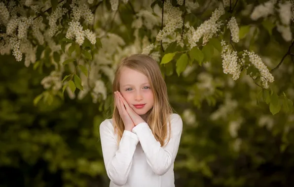 Summer, portrait, girl, cherry