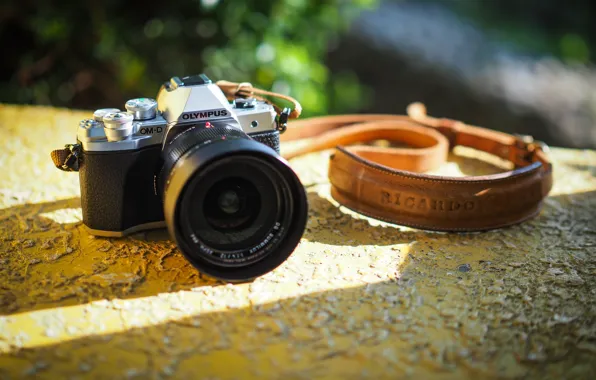 The camera, lens, strap