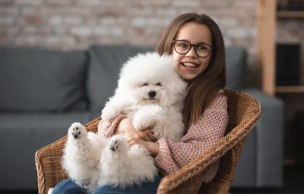 Joy, laughter, positive, good mood, poodle, joy, positive, good mood