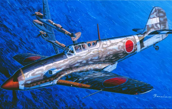 Wallpaper Fighter, Hien, Ki-61, Combat aircraft, Imperial Japan for ...