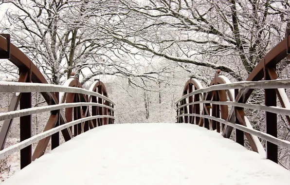 Winter, snow, trees, branches, bridge, nature, fence