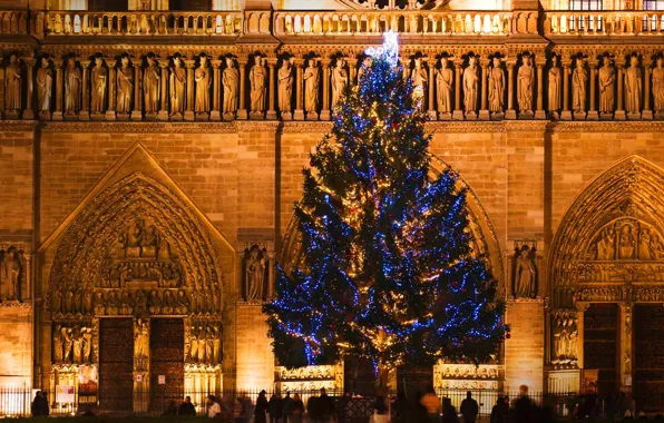 France, Paris, tree, Christmas, Cathedral, Notre Dame de Paris